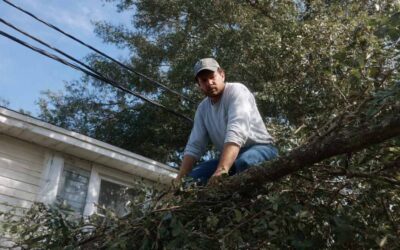Affordable Tree Cutting Sanford, FL