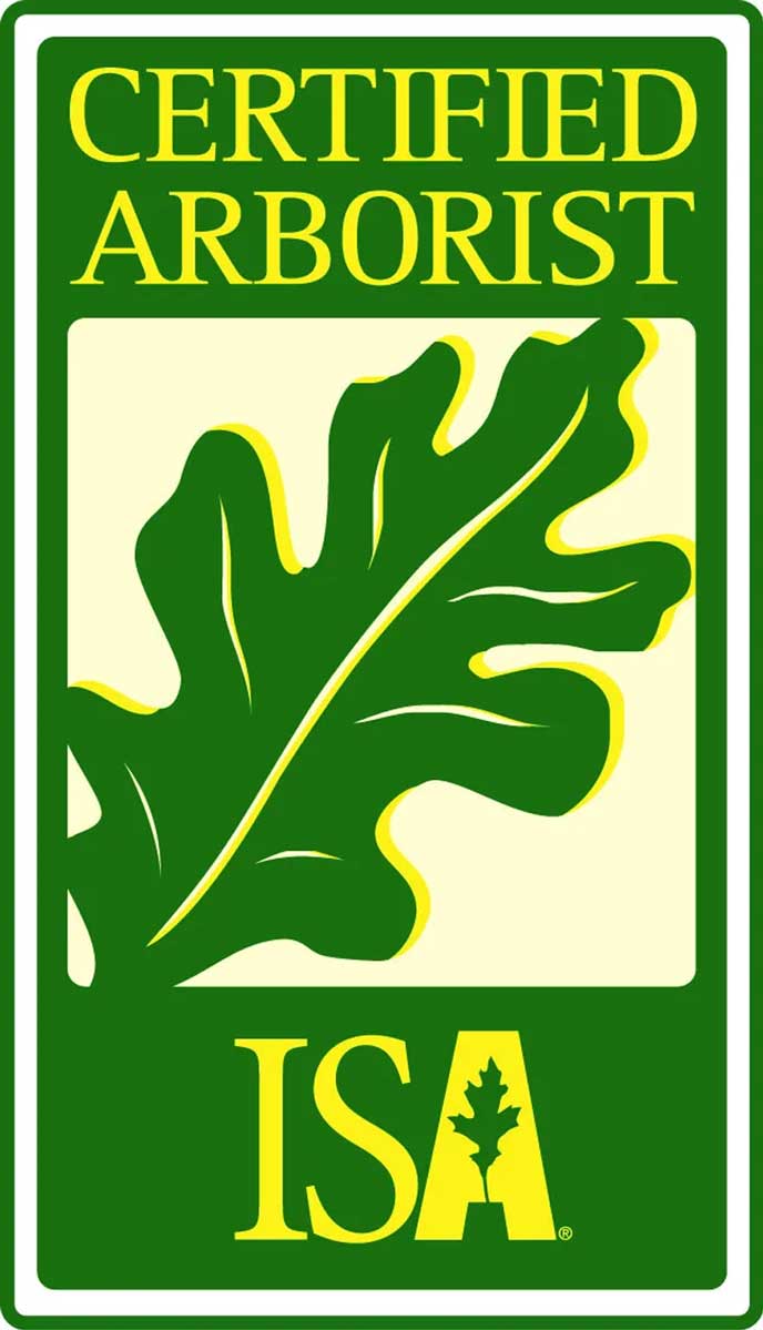ISA ISA certified arborist | Local Land and Tree in Sanford, FL