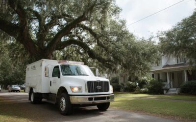 Sanford, FL Tree Experts On Call