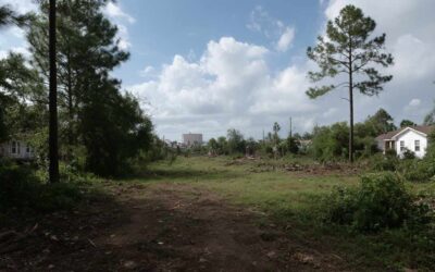 Sanford, FL Land Clearing Experts