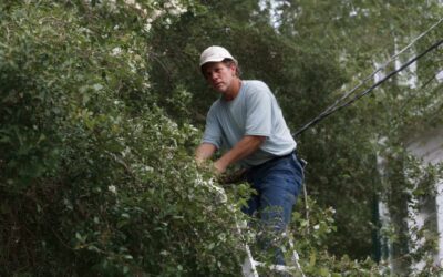 Sanford Tree Cutting & Trimming