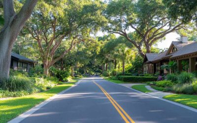 Sanford Tree Work by Local Pros