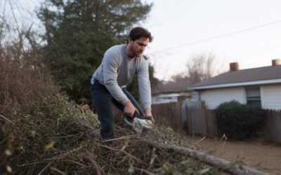 Sanford’s Trusted Tree Removal