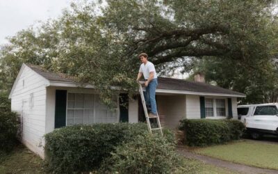 Veteran-Led Tree Services Sanford, FL